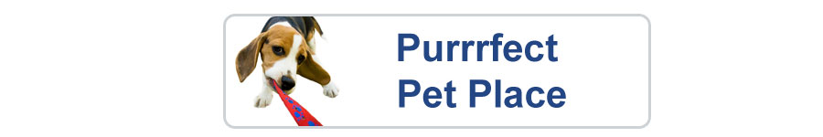 purrrfect pet place